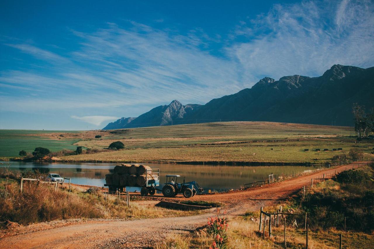 Appelsbosch Guest Farm Villa Swellendam Eksteriør billede