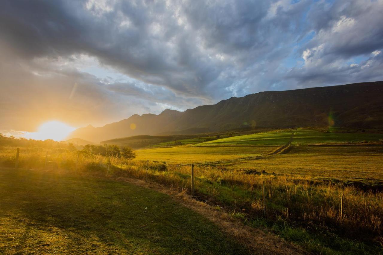 Appelsbosch Guest Farm Villa Swellendam Eksteriør billede