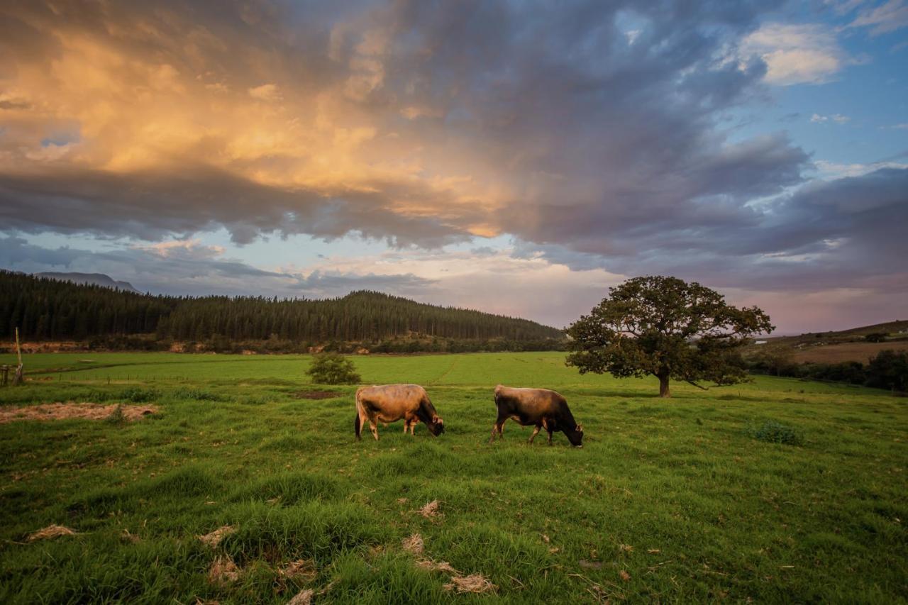 Appelsbosch Guest Farm Villa Swellendam Eksteriør billede